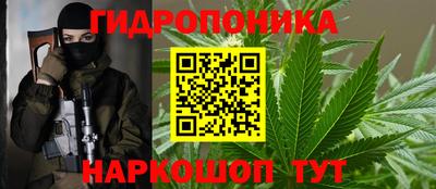 2c-b Пугачёв